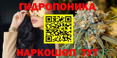 стаф Севастополь