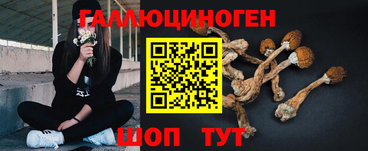 Отрадный  Галлюциногенные грибы Cubensis  даркнет сайт  Вход с VPN  Галлюциногенные грибы ЛСД 
